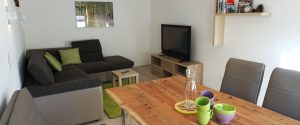 Wohnzimmer mit SAT-TV und gemütliche Essecke